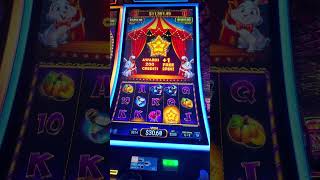 Hat Trick Hare new game #slot #casino #slotmachine #slots #bonus #gambling #bigw