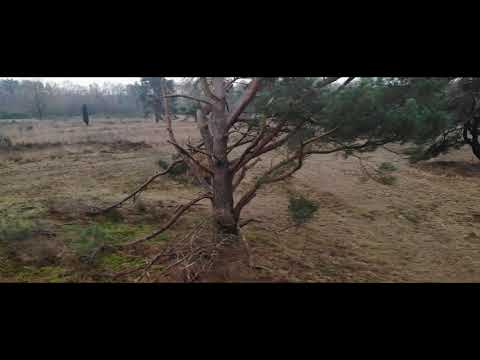 Drone flight | Darp Drenthe
