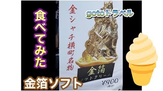 【今日のファミリー】名古屋観光　名古屋城横　金箔ソフトクリーム食べてみた