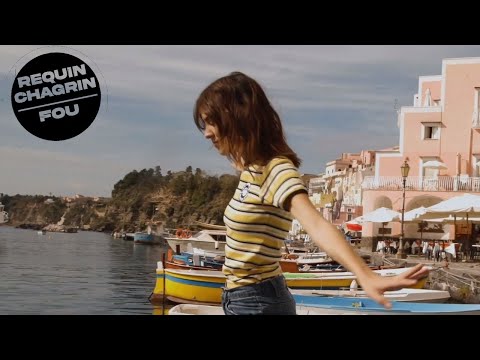 Requin Chagrin - Fou