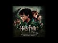 Harry Surrenders - Alexandre Desplat