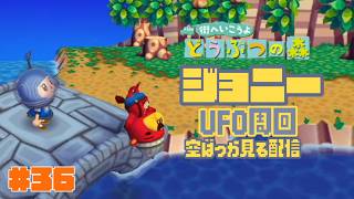 【リベンジ】ジョニーのUFOを探してひたすら空を眺める生配信🛸#36【街へいこうよどうぶつの森】