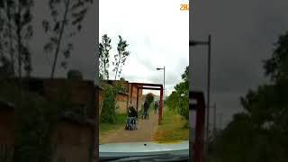Policiais fazendo milagres
