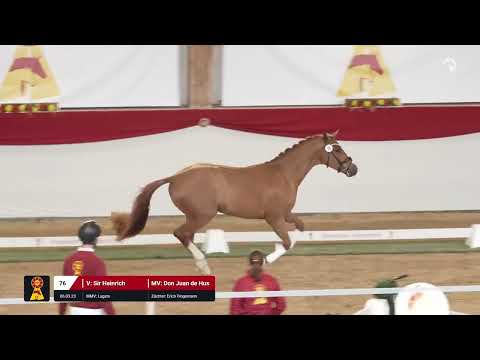 Lot 76 v. Sir Heinrich / Don Juan de Hus