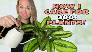 FORGET Plant Care Routines: What Your Plants Really Need!