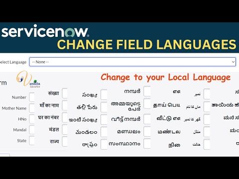 How to Change Form Field Language in Service Now