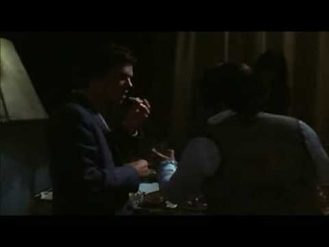 Seabirds video thumbnail