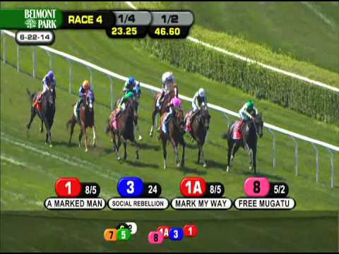 Mark My Way - 2014 NYSS Spectacular Bid Division