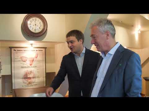 SVEIKAS RYTOJUS - Skrandžio vėžys yra viena pagrindinių mirčių nuo vėžio priežastis pasaulyje