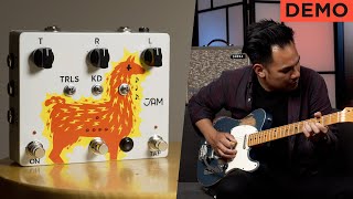 Video thumbnail for Beautiful Chaos - JAM Pedals Delay Llama Xtreme by JayLeonardJ