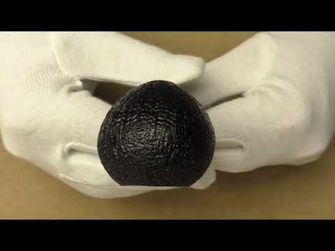 Davide Iafisco  - pipe 028