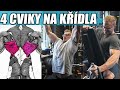 NEJLEPŠÍ 4 CVIKY NA ZÁDA (Musíš vyzkoušet)