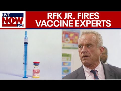 Video | RFK Jr. ousts entire CDC vaccine panel | LiveNOW from FOX
