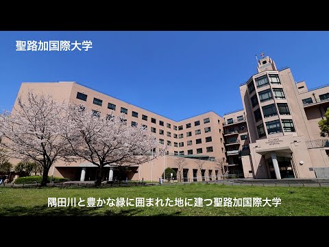 聖路加国際大学看護学部の紹介