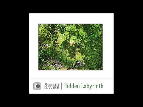 Robert Davies - Hidden Labyrinth (2020)
