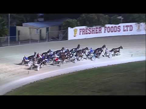 Terror To Love Auckland Cup 2014