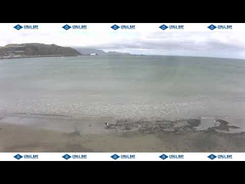 Lyall Bay Surf Cam thumbnail