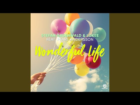 Wonderful Life (Radio Edit)