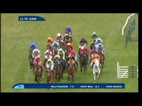 2013 Byrne Group Plate - Cheltenham Festival