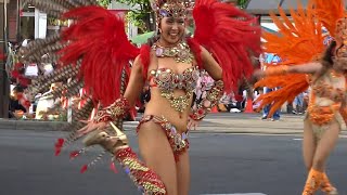 若いサンバダンサー　花小金井