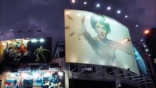 Lesley Gore Love me by name