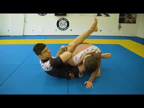 Applying the Switch in the Closed Guard (Dinu Bucalet)
