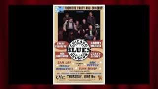 Born In Chicago - Chicago Blues Reunion
