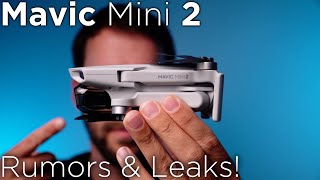 DJI Mavic Mini 2 - Rumors & Leaks!