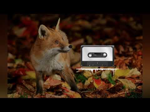 Paluch x PlanBe x Sobota - Te Panny (Lukee Blend)(BASS BOOSTED)