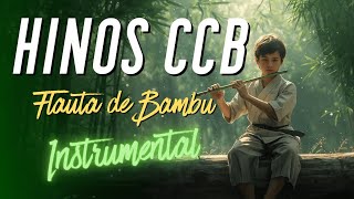 Hinos CCB com Flauta de Bambu e Harpa • Paz, Natureza e Adoração 🙏🌿