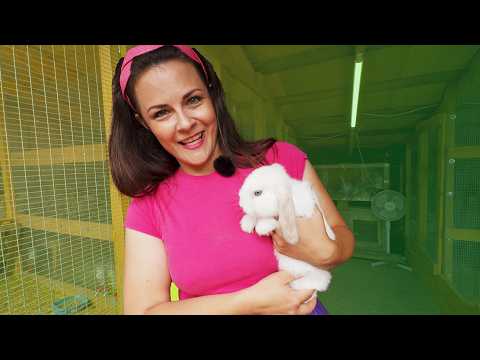 Taluloomad ja Lolala Anna | Lolala avastab | Harivad videod kogu perele