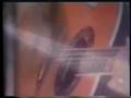 Larry Coryell-Green Sleeves