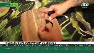 Miniatura do vídeo