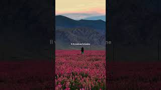 Download lagu kisah cinta - indila | lirik | estetika | status whatsapp | status WhatsApp estetika | percepat 🎶🥀💓 mp3 Download lagu kisah cinta - indila | lirik | estetika | status whatsapp | status WhatsApp estetika | percepat 🎶🥀💓 mp3