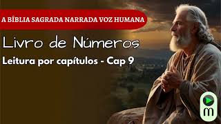 NÚMEROS 9 | Quando Deus Guia o Caminho | A Nuvem e o Fogo | Bíblia Narrada com Voz Humana