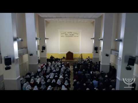 2019-05-05 Domenica Mattina - Fr Gemelli - Salmo 139