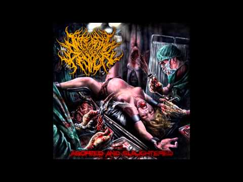 Internal Devour- Aborted and Slaughtered [Full Album 2014]