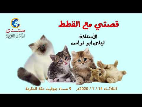 , title : 'أمسية (38) قصتي مع القطط .. المدربة / ليلى أبو نواس 2020/1/14'