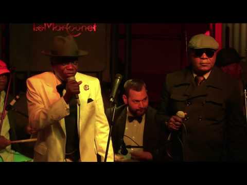 DELVIS EL SALSERO AU MARCOUNET