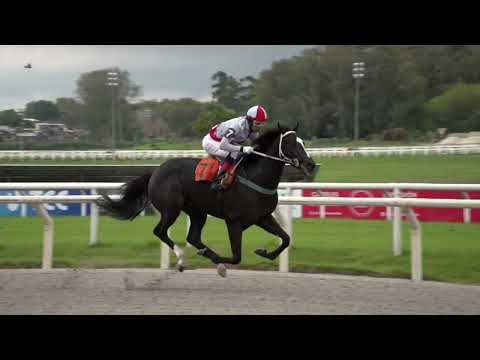 230507 c03 NOCHE OSCURA