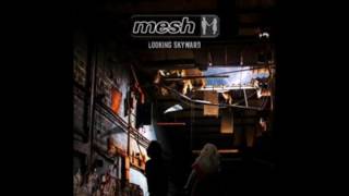 Mesh -  the fixer.2016