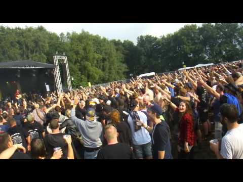 El Fisch - Viva Lokalmatador