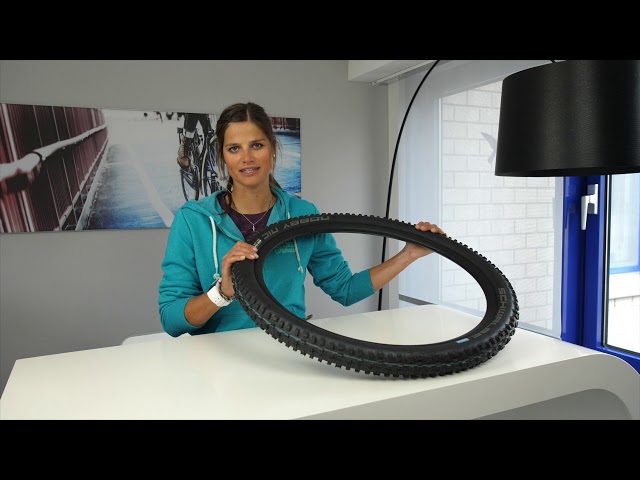 schwalbe nobby nic performance line
