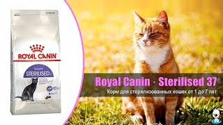 Royal Canin Sterilised 37 4 кг (2537040) - відео 1