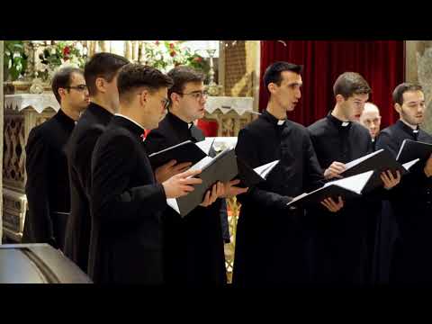 Komorni zbor bogoslova CBS -  Veni Emanuel (Koncert "Ususret Božiću" 2019. LIVE)