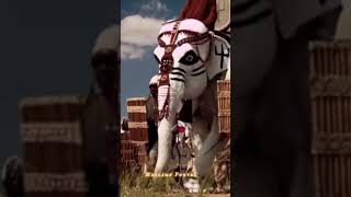 Download lagu Khalid bin Waleed | SWORD OF ALLAH | | JUNDULLAH| mp3