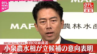 【速報】小泉農水相が立候補の意向表明  自民党総裁選