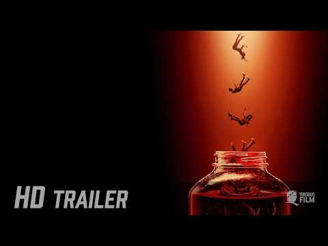 Trailer-Vorschau: Kombucha - Die Zukunft beginnt hier