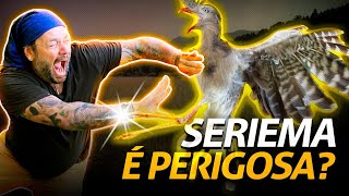 Miniatura do vídeo