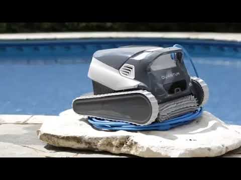 download lagu mp3 mp4 Dolphin Quantum Reviews, download lagu Dolphin Quantum Reviews gratis, unduh video klip Dolphin Quantum Reviews